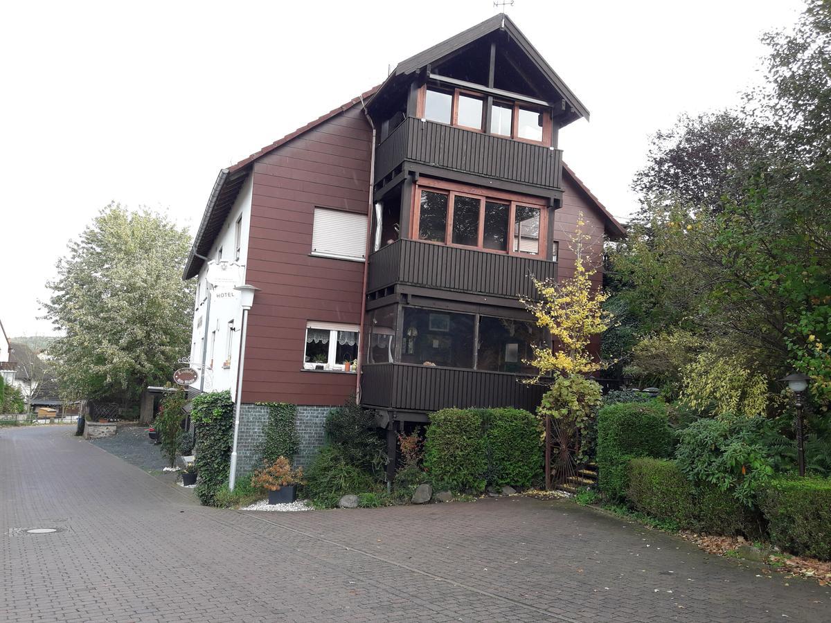 Landhotel Alte Muehle Modautal Zewnętrze zdjęcie
