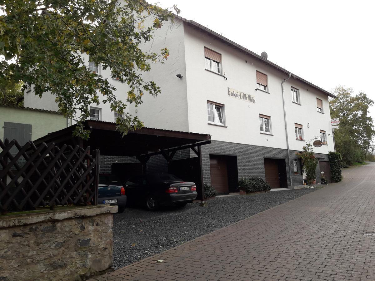 Landhotel Alte Muehle Modautal Zewnętrze zdjęcie