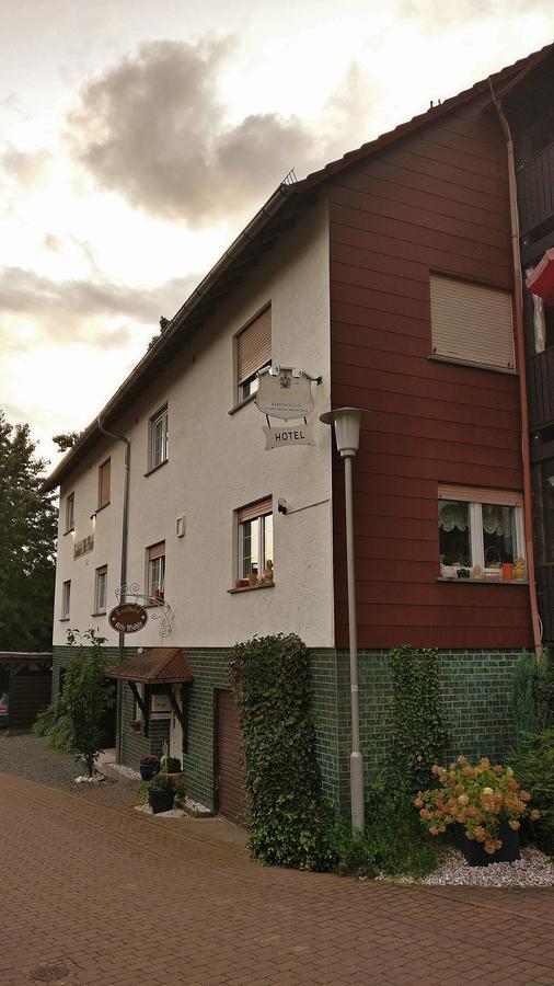Landhotel Alte Muehle Modautal Zewnętrze zdjęcie