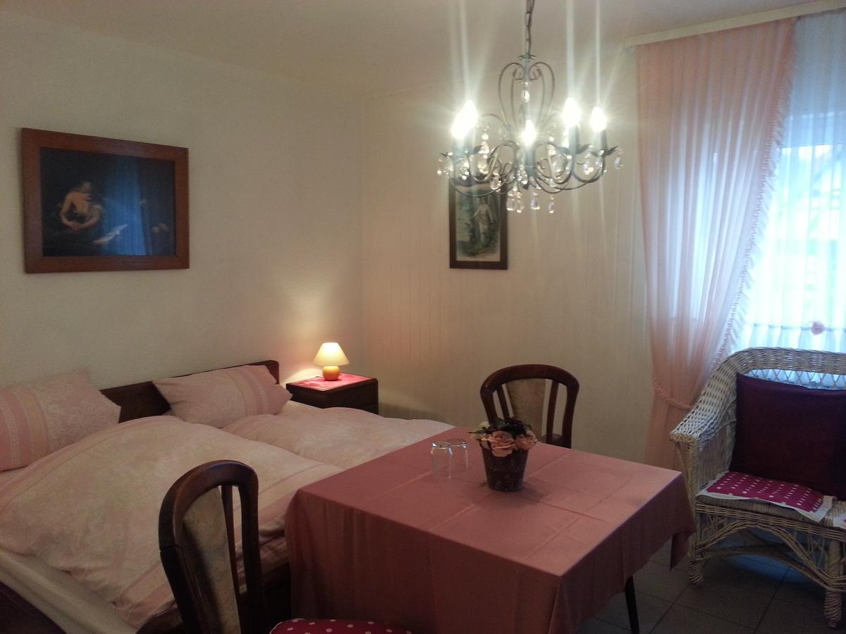 Landhotel Alte Muehle Modautal Zewnętrze zdjęcie